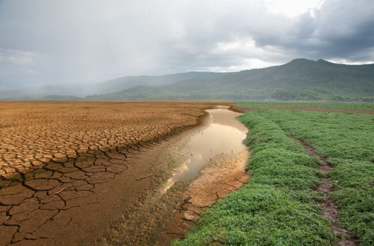 Water And Climate Change: Things You Need To Know